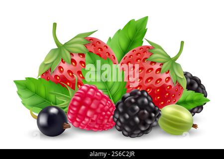 Vecteur de baies réalistes. Fraise, framboise, baie d'oie, mûre isolée sur fond blanc. Baie de pile, framboise et fraise, mûre et myrtille illustration. Vecteur de baies réalistes. Fraise, framboise, baie d'oie, mûre isolée sur fond blanc Illustration de Vecteur
