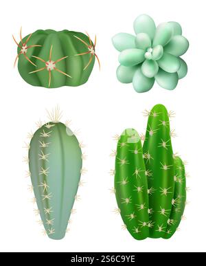 Plantes de cactus. Décoratif réaliste succulent vert plantes botaniques d'intérieur plantes de croissance différentes formes images vectorielles. Illustration de cactus botaniques, fleurs de cactus succulents avec épine. Plantes de cactus. Décoratif réaliste succulent vert plantes botaniques d'intérieur plantes de croissance différentes formes images vectorielles Illustration de Vecteur