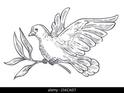 Pigeon ou colombe volant avec branche d'olivier ou brindille dans les griffes vecteur d'esquisse d'oiseau isolé. Animal sauvage et faune sauvage, symbole de paix et de religion, plumage d'ailes. Pureté et espoir, créature symbolique avec bec. Colombe ou pigeon volant avec branche d'olivier dans des griffes icône isolée Illustration de Vecteur