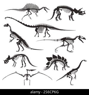 Icônes isolées de squelettes de dinosaures, vecteur d'os d'animaux préhistoriques. Velociraptor et diplodocus, tricératops et tyrannosaurus, ptérodactyl et stégosaurus. Spinosaurus et coelophysis, dilophosaurus. Os d'animaux préhistoriques, squelettes de dinosaures icônes isolées Illustration de Vecteur