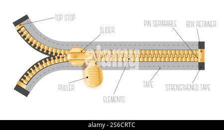 Fermeture à glissière métallique dorée et extracteur avec curseur vecteur d'icône isolé. Élément de fixation ou de vêtement, accessoire doré de sac à main, élément zippé réaliste ou serrure. Position fermée et ouverte, noms des éléments. Fermeture éclair et extracteur avec curseur icône isolée, attache dorée Illustration de Vecteur