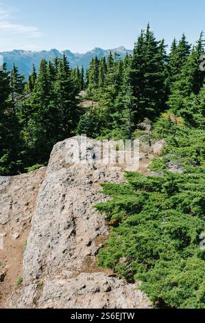 Vue sur le glacier Comox et les montagnes depuis le sommet du mont. Becher, Parc provincial de Stratchcona, Colombie-Britannique, Canada Banque D'Images