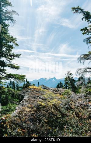 Vue sur le glacier Comox et les montagnes depuis le sommet du mont. Becher, Parc provincial de Stratchcona, Colombie-Britannique, Canada Banque D'Images