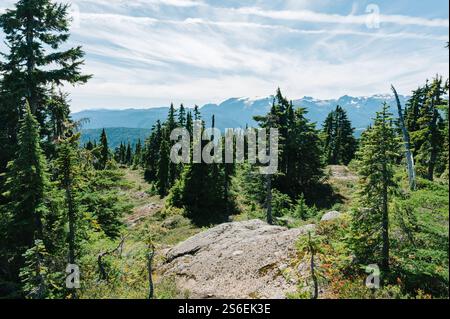 Vue sur le glacier Comox et les montagnes depuis le sommet du mont. Becher, Parc provincial de Stratchcona, Colombie-Britannique, Canada Banque D'Images