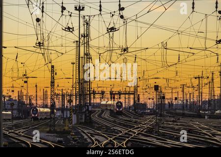 Tablier de voie avec trains, rails, aiguillages, pylônes et systèmes de signalisation. Infrastructure à la gare principale. Coucher de soleil. Francfort-sur-le-main, Hesse, Allemagne, Banque D'Images