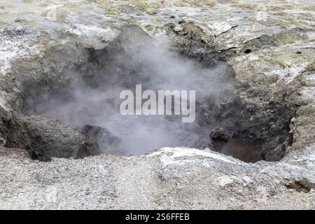 Une image de l'activité géothermique à Rotorua en Nouvelle-Zélande Banque D'Images