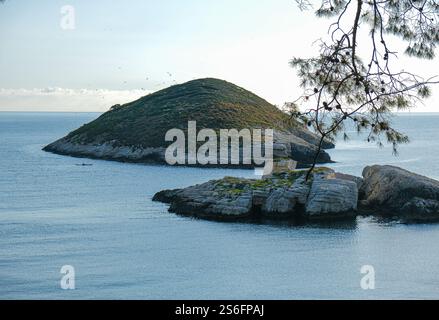 Vue panoramique sur une petite île entourée par la mer, encadrée par des branches de pin Banque D'Images