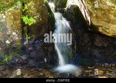 Une petite cascade descend entre des roches couvertes de mousse et dans le ruisseau, le réservoir d'eau potable Frauenau, en basse-Bavière Banque D'Images