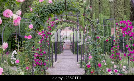 roses dans le jardin inférieur de generalife zone de l'alhambra Banque D'Images