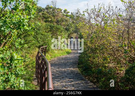 Yehliu Geopark présente de nombreuses formations rocheuses fascinantes sur la ligne courte dans la partie nord de l'île de Taiwan. Banque D'Images