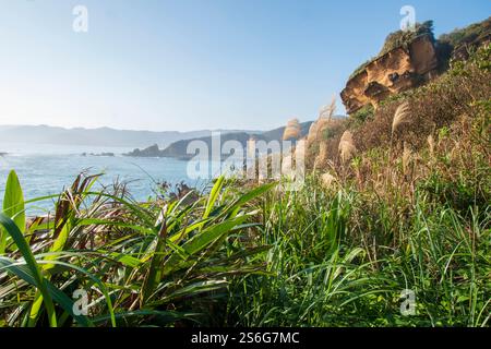 Yehliu Geopark présente de nombreuses formations rocheuses fascinantes sur la ligne courte dans la partie nord de l'île de Taiwan. Banque D'Images