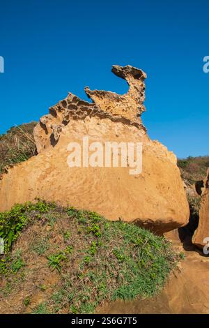 Yehliu Geopark présente de nombreuses formations rocheuses fascinantes sur la ligne courte dans la partie nord de l'île de Taiwan. Banque D'Images