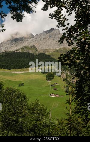 alpes suisses. Paysage suisse. Montagnes suisses. Paysage de montagne idyllique dans les Alpes avec des prairies vertes fraîches. Paysage de montagne Banque D'Images