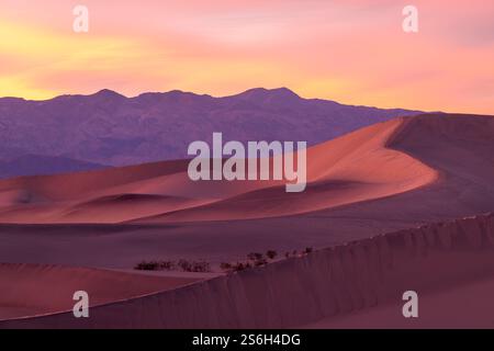 Télévision Mesquite Sand Dunes, Death Valley National Park, California, USA Banque D'Images