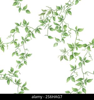 Les branches de lierre avec des feuilles vertes se glissent sur un motif sans couture. Illustration numérique aquarelle. Plante grimpante délicate avec tige mince isolée sur BA blanc Banque D'Images