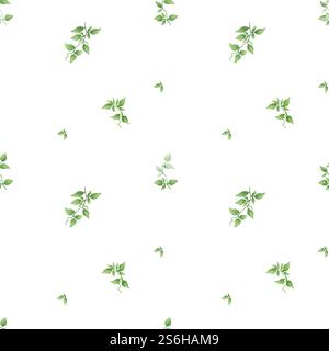 Branches de lierre avec des feuilles vertes sur un motif sans couture. Illustration numérique aquarelle. Plante grimpante délicate avec tige mince isolée sur backgrou blanc Banque D'Images