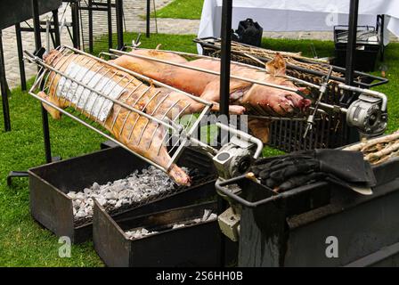 Deux porcs entiers sont rôtis lentement sur des grils à charbon ouverts dans un cadre extérieur. La scène met en évidence les méthodes de cuisson traditionnelles, mettant l'accent sur l'audace Banque D'Images