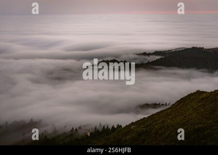 Brouillard flottant au-dessus des collines californiennes Banque D'Images