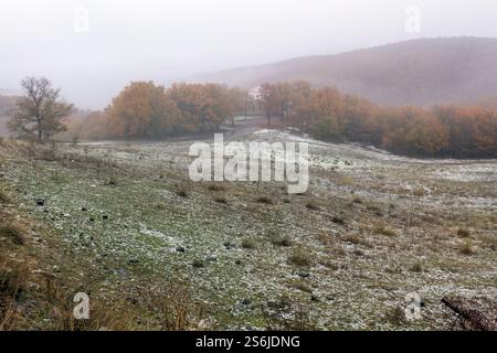 Paysage d'automne brumeux avec des champs embrassés par le gel, des arbres d'automne vibrants, et une maison lointaine entourée de collines ondulantes. Un pays serein et pittoresque. Banque D'Images
