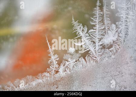 Image douce des motifs givrés sur la vitre. Gros plan avec espace de copie à gauche. Banque D'Images