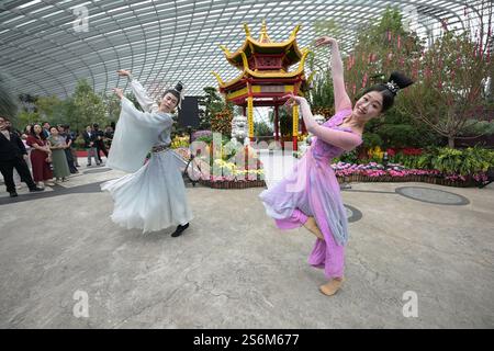 Singapour. 17 janvier 2025. Les danseurs se produisent lors de la cérémonie d'ouverture de l'exposition florale du nouvel an lunaire chinois « Spring Blossoms » qui se tient dans le Dôme des fleurs des jardins de Singapour près de la baie le 17 janvier 2025. L'affichage a débuté vendredi et durera jusqu'au 23 février. Credit : puis Chih Wey/Xinhua/Alamy Live News Banque D'Images