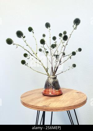Un arrangement de fleurs d'échinops séchées dans un vase sur une petite table à l'intérieur d'une maison. Banque D'Images