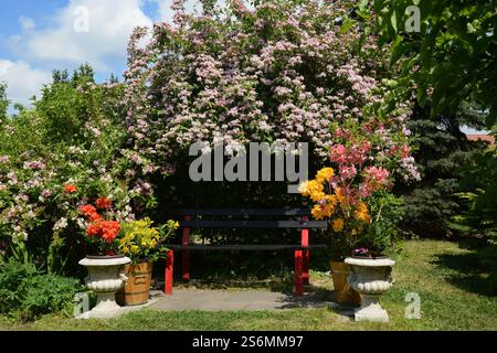 jardin Banque D'Images