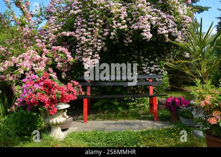 Banc de jardin au printemps Banque D'Images