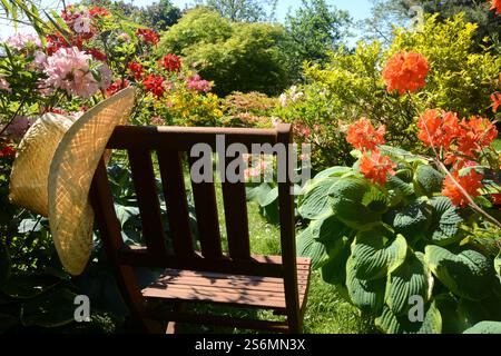 Chaise de jardin au printemps Banque D'Images