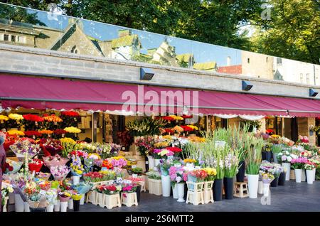 Magasins de fleurs dans la vieille ville de Tallinn Banque D'Images