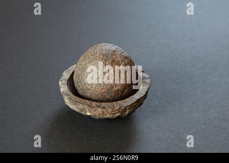 Boule de pierre en coquille Banque D'Images