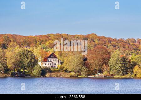 Vue sur le lac Schmaler Luzin jusqu'au paysage du lac Feldberg en automne. Banque D'Images