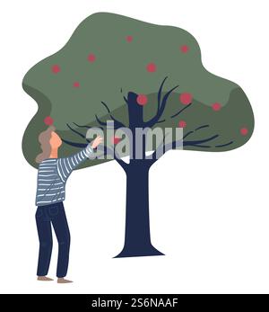 Cueillette de pommes mûres dans les arbres, saison de récolte d'automne, agriculture et agriculture. Agriculteur dans le verger ou le jardin cueillant des fruits. Horticulture à l'automne, production biologique à la ferme. Vecteur en plat. Saison de récolte d'automne, cueillette des pommes mûres de l'arbre Illustration de Vecteur