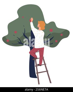 Récolte en automne, récolte de la saison d'automne, cueillette des pommes de l'arbre dans le jardin. Baies de pommes mûres dans le verger, agriculteur cueillant des fruits. Agriculture et agriculture, croissance organique et vecteur d'affaires. Récolte d'automne, agriculteur cueillant des pommes mûres dans les arbres Illustration de Vecteur