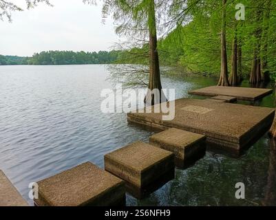 Passerelle et arbres sur la rive d'un lac sur la Sechs-Seen-Platte Banque D'Images