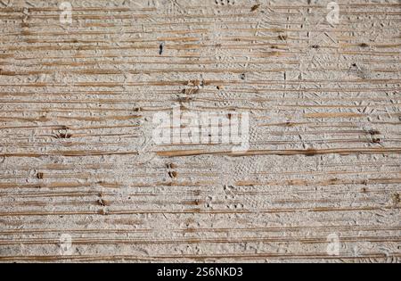 Planches en bois, planches en bois rainurées et recouvertes de sable comme texture Banque D'Images