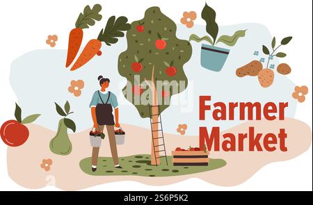 Produits écologiques et naturels sur le marché fermier. Femme récoltant et cueillant des pommes d'arbre, de pomme de terre et de carotte, de tomates et de poire. Préparez-vous à vendre des légumes. Vecteur dans le style plat. Marché agricole des produits écologiques et naturels Illustration de Vecteur