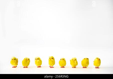 Petits poussins de jouet dans une rangée Foe easter.on un fond blanc. Banque D'Images