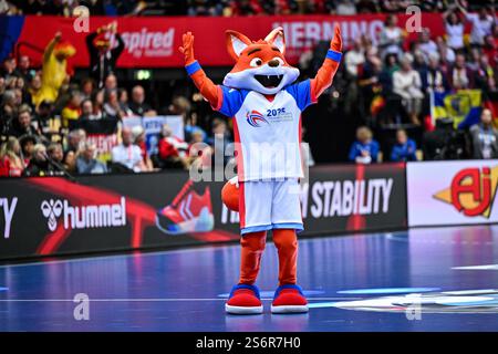 Herning, Danemark. 17 janvier 2025. Mascotte, mascotte, Marketing, pendant le Championnat du monde de handball masculin de l'IHF - Suisse vs Allemagne, match de handball à Herning, Danemark, 17 janvier 2025 crédit : Agence photo indépendante/Alamy Live News Banque D'Images