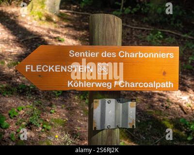 Chemin des brûleurs à charbon près du château de Fleckenstein, Lembach, Bas-Rhin, Alsace, Vosges, grand est, Alsace-Champagne-Ardenne-Lorraine Banque D'Images