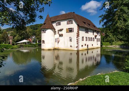 Château d'Inzlingen, Inzlingen, Bade-Württemberg, Allemagne Banque D'Images