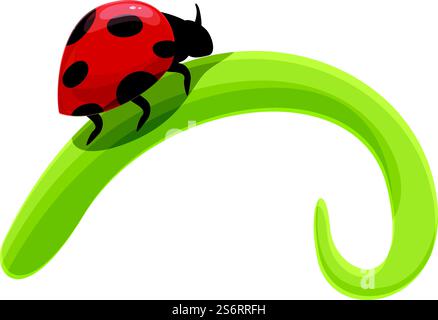 Vecteur de dessin animé d'icône coccinelle d'arbre. Insecte floral. Insecte forestier. Vecteur de dessin animé d'icône coccinelle d'arbre. Insecte floral Illustration de Vecteur