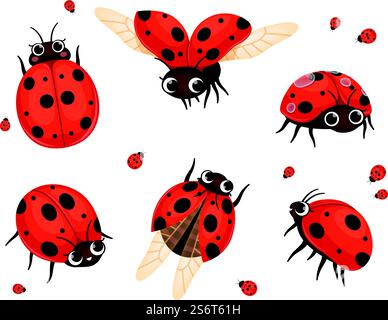 Coccinelle. Voler gros plan insectes en action pose des insectes de la nature de nos jours illustrations vectorielles de coccinelles rouges de bande dessinée. Insecte coccinelle, dame de caractère et faune. Coccinelle. Voler gros plan insectes en action pose des insectes de la nature de nos jours illustrations vectorielles de coccinelles rouges de bande dessinée Illustration de Vecteur