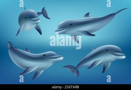 Dauphins réalistes. Océan ou animaux marins nagent poissons avec palmes bleu profond de la mer faune sous-marine vecteur décent collection de dauphins réalistes. Marine et mer, nage réaliste des animaux, faune. Dauphins réalistes. Océan ou animaux marins nagent poissons avec palmes bleu profond de la mer faune sous-marine vecteur décent collection de dauphins réalistes Illustration de Vecteur