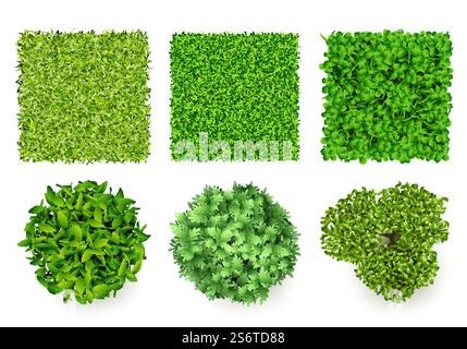 Vue de dessus du sol vert. ECO concept morceaux d'herbe et d'arbustes articles forestiers décent vecteur plantes réalistes. Illustration champ d'herbe fraîche, environnement vert. Vue de dessus du sol vert. ECO concept morceaux d'herbe et d'arbustes articles forestiers décent vecteur plantes réalistes Illustration de Vecteur