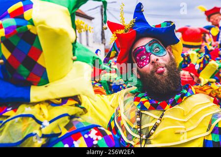 Belgique, Wallonie, province de Hainaut, Beloeil. Carnaval de Basecles Banque D'Images