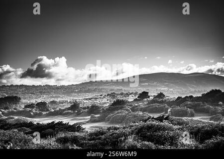 Nuages émotionnels se formant au-dessus de Dunedin, Otago, Nouvelle-Zélande Banque D'Images