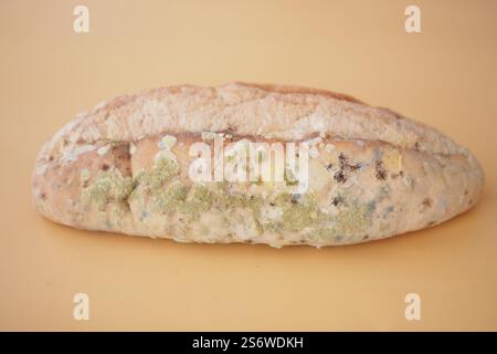 Gros plan du pain moisi illustrant la détérioration des aliments Banque D'Images