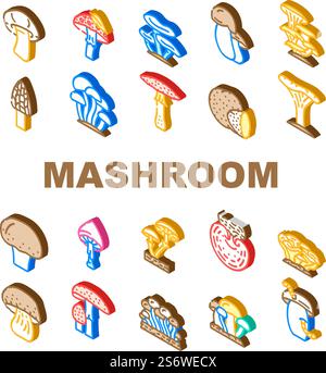 Vecteur d'ensemble d'icônes de légumes de champignons et de champignons. Shitake et Porcini, Morel et Toadstool, champignons Amanita Mushroom. Délicieuse vitamine naturelle Champignon et Truffle Isomtric Sign Color illustrations. Vecteur d'ensemble d'icônes de légumes de champignons et de champignons Illustration de Vecteur