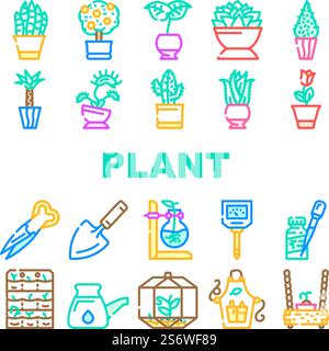 Vecteur d'ensemble d'icônes de plantes en pot et d'accessoires de soins. Sansevieria Trifasciata et Citrus Tree, Monstera deliciosa et Buxus sempervirens plante en pot. Illustrations couleur de l'équipement Florarium. Vecteur d'ensemble d'icônes de plantes en pot et d'accessoires de soins Illustration de Vecteur